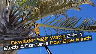 Okwelder 900W 2-in-1 Cordless Pole Saw Review — 8 Inch Mini Chainsaw with Pole