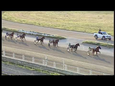 Trotto 10/07/2020 - 1ª corsa