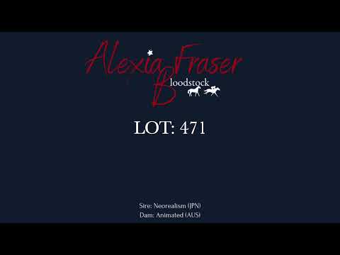 LOT: 471- 2021 Gold Coast National Weanling Sale