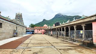 Temple video