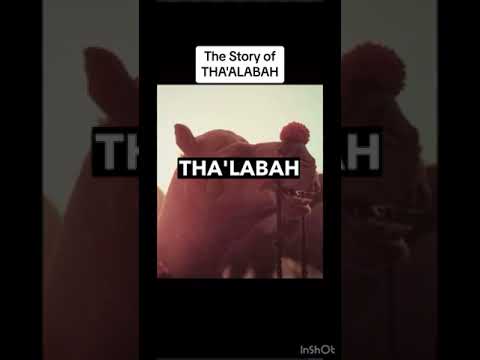 Islamic True Story of THALABAH