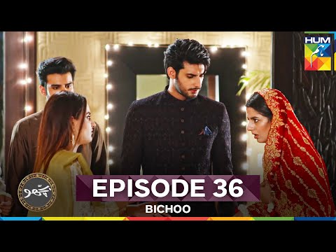 Bichoo Episode 36
