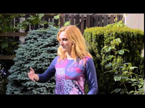 Velikonoční pašijové pásmo