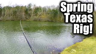 Early Spring Bank Fishing Lures (Fishing With  Texas Rig)