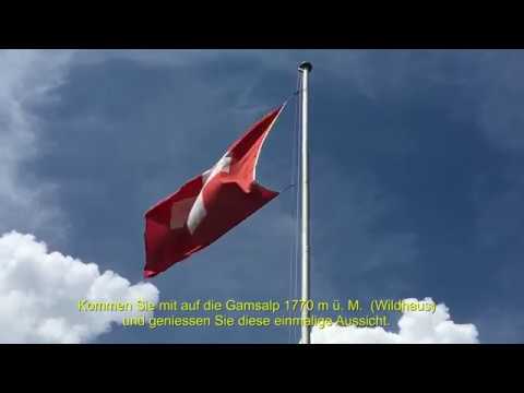 Ein Besuch auf der Gamsalp