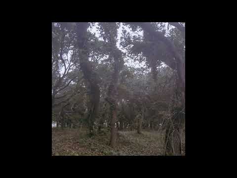 ALTHAHEL - FORGIVE ME FATHER (FT. SLYYE)