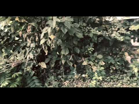 Movement Gang: KDott - Its Real (Official Music Video)