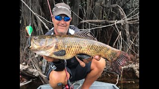 MUITA TRAIRA EM MEIO A TUCUNARES AÇUS NA AMAZONIA.