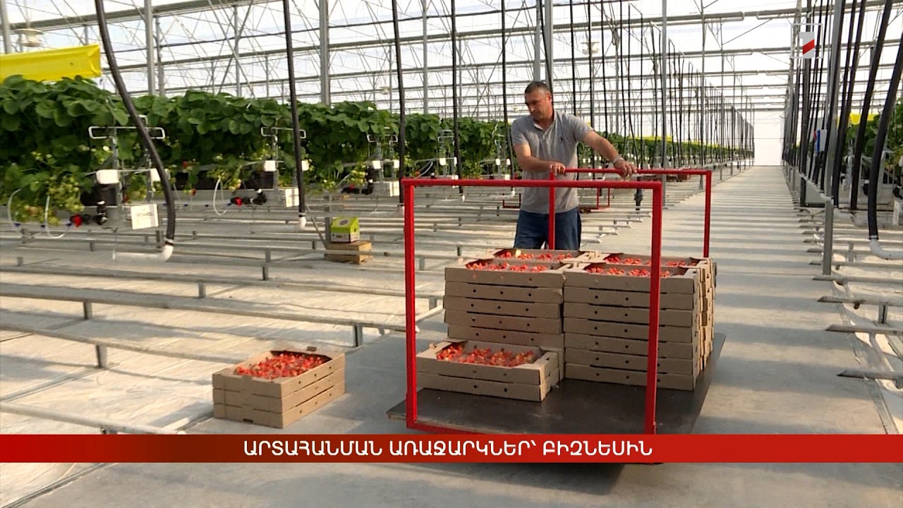 Արտահանման առաջարկներ՝ բիզնեսին