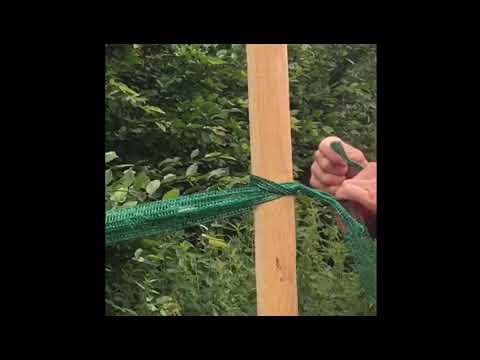 mr-pflanzenvertrieb: Eine einfache und sichere Methode, Bäume an einen Baumpfahl anzubinden.