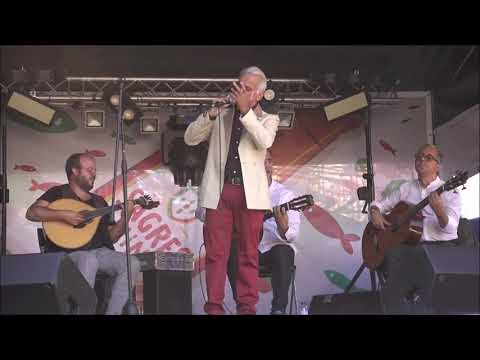 Alcino Bom - "Ser Fadista" (César d'Oliveira / João Nobre)