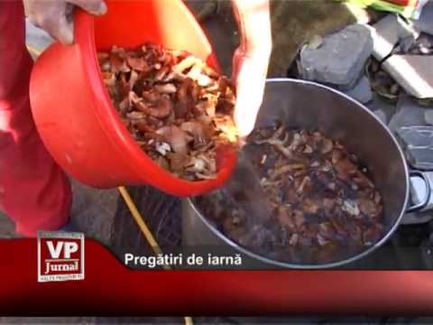 Pregătiri de iarnă