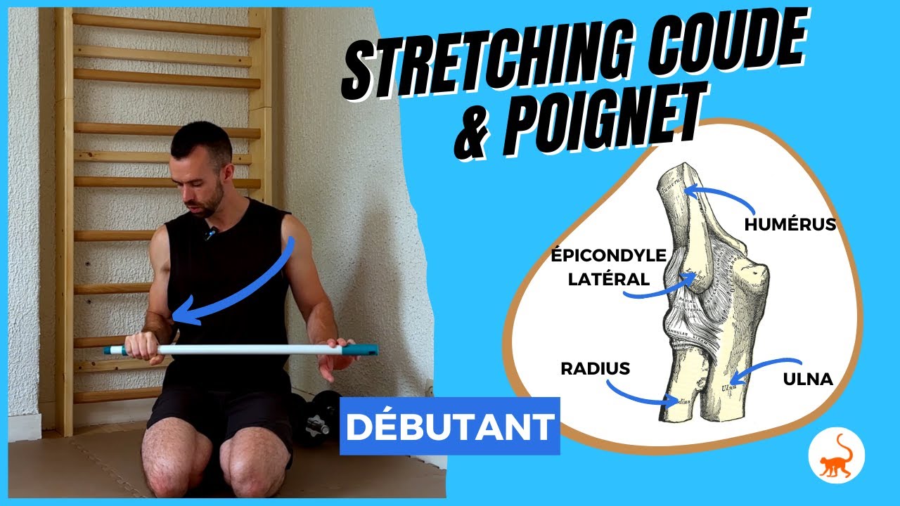 Stretching Coude et Poignet (Douleur Intérieur Coude et Flexion du Poignet) - Débutant