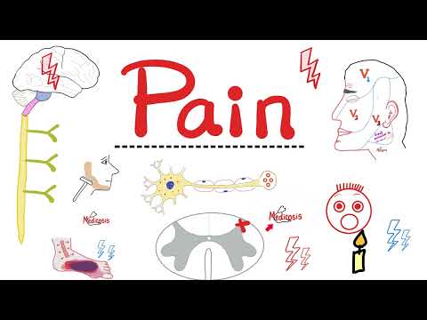 Pain - Gate Theory of Pain - Sensory Nervous system - CNS - Opioids - Pain medications - Neuro