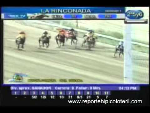 Resumen Domingo 28 de Agosto de 2011 - La Rinconada
