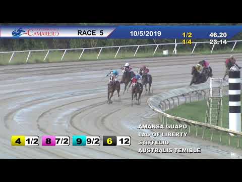 Carrera 5 5/OCTUBRE/2019 (LAD OF LIBERTY)