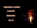 No Smoking Smoking Causes Cancer Smoking Kills