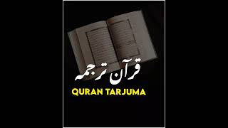 Beautifull Quran ayat whatsapp statusQuran transla