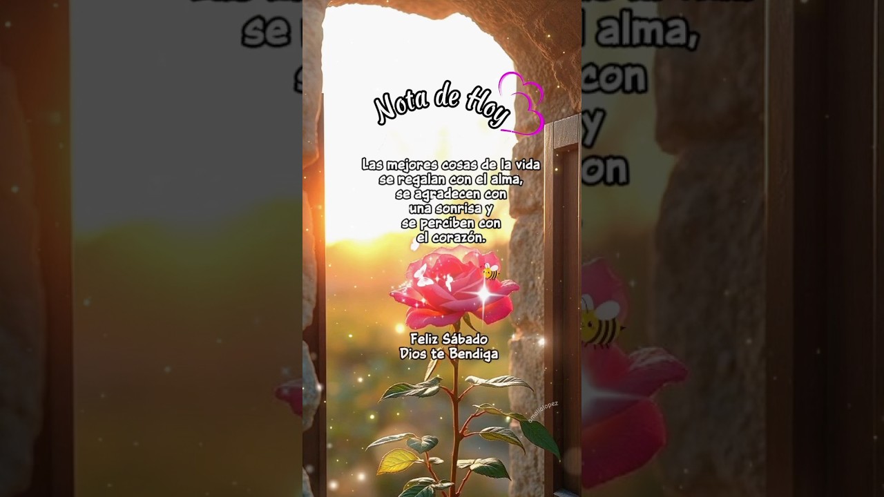 Feliz sábado.🫶🏻✨ #buenosdias #familia #lindodia #diostebendiga