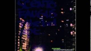 the band apart: AG (Skirt) + light in the city + Azure