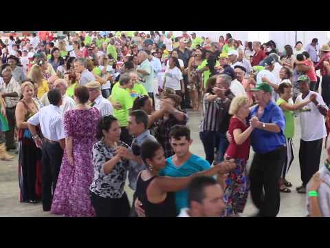 Catarina video