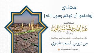 صورة معنى [واعلموا أن فيكم رسول الله] | الشيخ عبدالقادر شيبة الحمد رحمه الله (233)