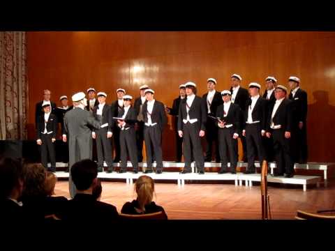 NSSS 2011 - Teekkarilaulajat - Hanget soi