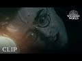 The Chase To The Burrow Harry Potter And The Deathly Hallows Pt 1