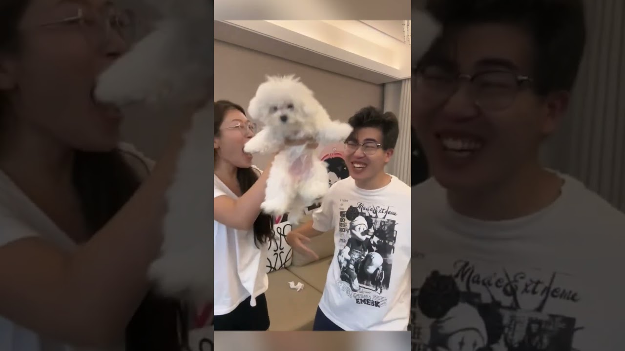 It looks he is hungry r#shorts