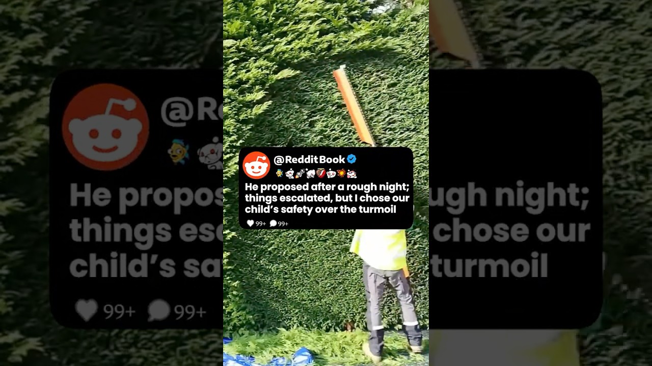 He proposed after a rough night; things escalated, but I chose our child’s safety.. Reddit Stories