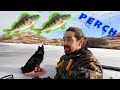 Video Thumbnail for Ice Fishing Saskatchewan / Perch / Catching Minnow's! / First Ice Fishing Video!