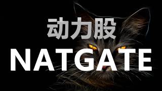 24 08 2026 第791期：动力股 NATGATE