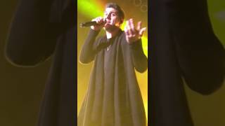 SoMo - Oh Hell (Chicago)