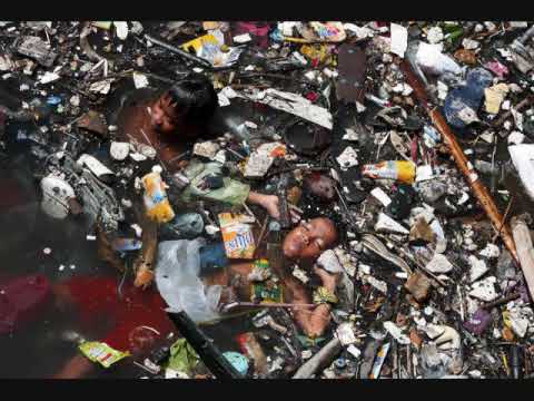 Rita Calypso - Paper Mache