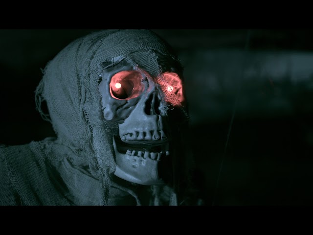 Vídeo relacionado con Cabezas de Calaveras de Halloween |.Animatronics de Halloween, Cabeza de Calavera con Ojos iluminados con Movimiento y Sonido Activado, Voz Espeluznante, Decoraciones aterradoras para Interiores y