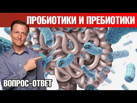 Микрофлора кишечника 👉 пребиотики питают плохие бактерии?! Микрофлора кишечника 👉 пребиотики питают плохие бактерии?!