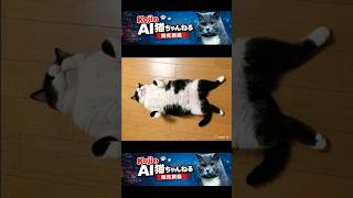 跨ぐ猫　 #cat #ai #funny