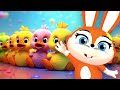 Five Little Ducks Five Little Monkeys Nursery Animal Songs Hazel Rabbit
