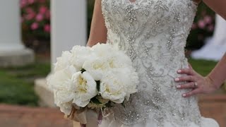 The Omni Homestead Wedding Video // Bo + Brittany / Wedding Highlights