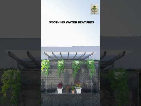 Watch our video