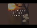 flowers In My Garden