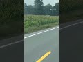 Ruts On Upstate NY