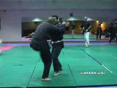 Kako no kata - koto ryu