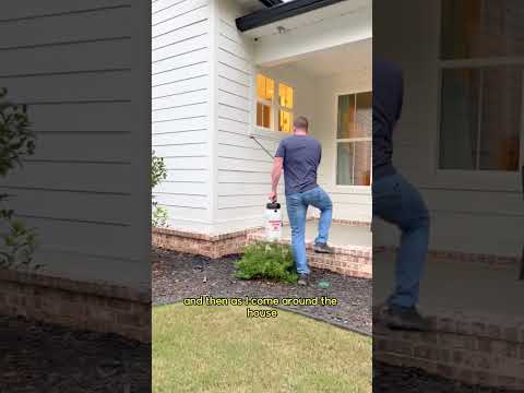 The Best DIY Pest Control…🐜