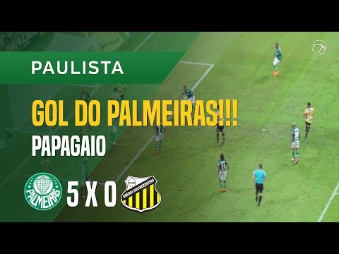 GOL (PAPAGAIO) - PALMEIRAS X NOVORIZONTINO - 21/03 - PAULISTA 2018