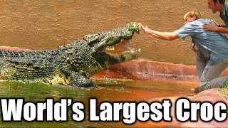 World’s Largest Crocodiles Ever Caught