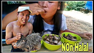 Download lagu MAKAN BABI PANGGANG ASAM PEDAS. mp3 Download lagu MAKAN BABI PANGGANG ASAM PEDAS. mp3
