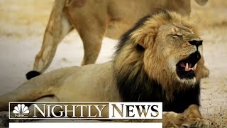 Where Is the Minnesota Dentist Who Killed Cecil the Lion? | NBC Nightly News