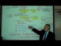 ANATOMY; THE INTEGUMENT; Part 1 by Professor Fink