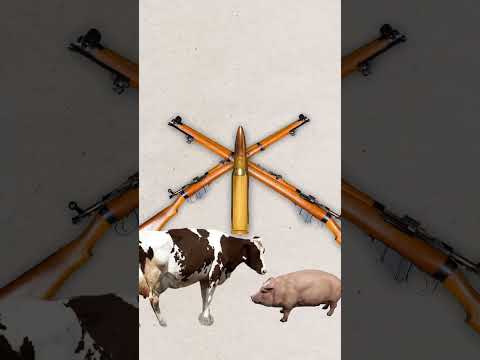 Siege of Lucknow - Story of 1857 revolt from Lucknow || The Lucknow Stories